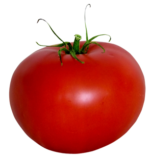 tomate