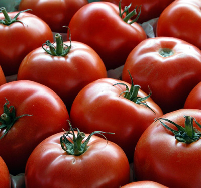 tomates 3