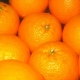 Cáscaras confitadas de naranjas 