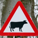 Peceto a la cacerola