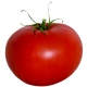 Mousse de tomate