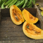 Dulce de calabaza