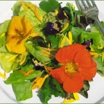 Ensalada del jardín