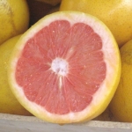 Pomelo collins