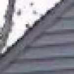 Profile picture of sterm13